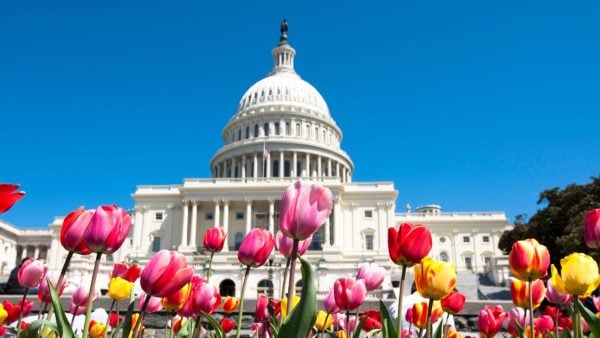 Best Credit Unions in DC